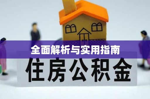 云林全面解析与实用指南