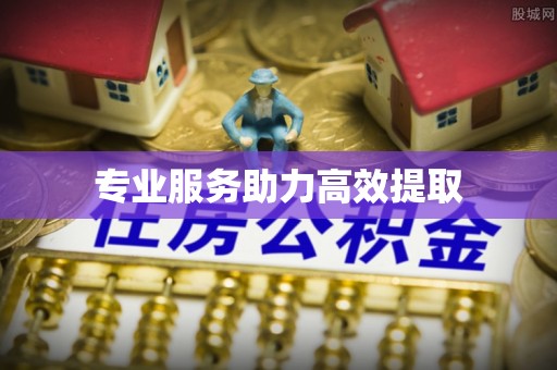 云林专业服务助力高效提取