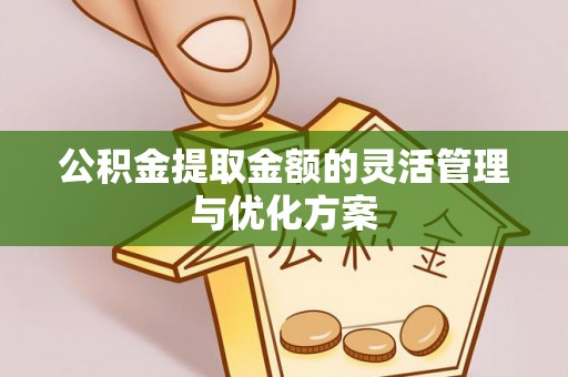 云林公积金提取金额的灵活管理与优化方案