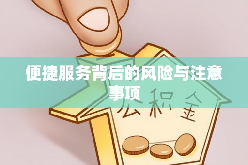 云林便捷服务背后的风险与注意事项