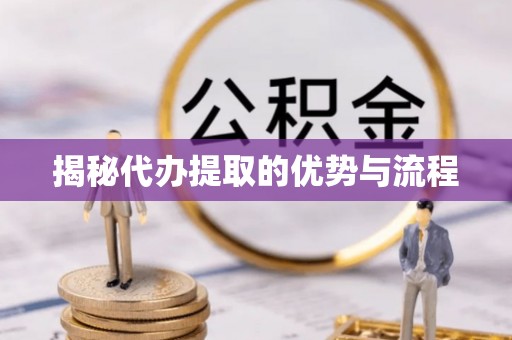 云林揭秘代办提取的优势与流程