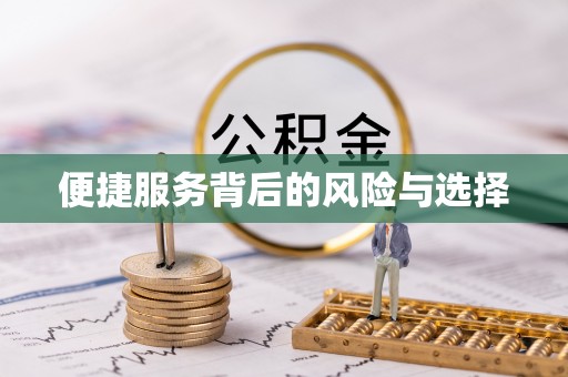 云林便捷服务背后的风险与选择