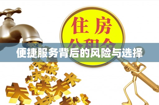 云林便捷服务背后的风险与选择