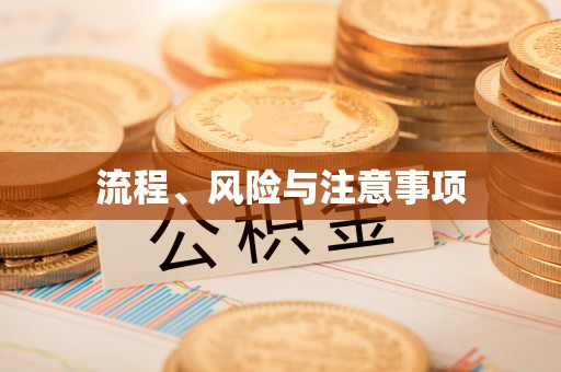 云林流程、风险与注意事项
