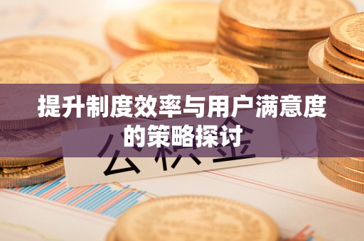 云林提升制度效率与用户满意度的策略探讨