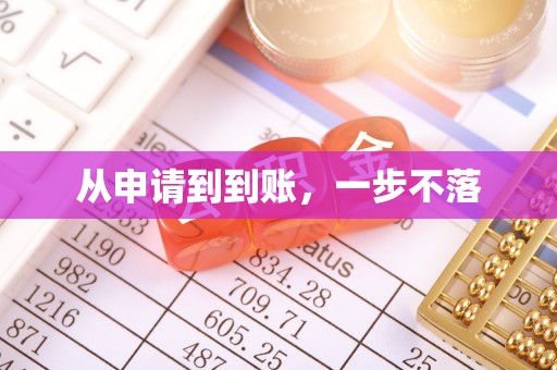 云林从申请到到账，一步不落